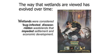 The way that wetlands are viewed has
evolved over time:
Wetlands were considered
“bug-infested, disease-
ridden wastelands...