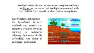 Wetland scientists and others now recognize wetlands
as distinct ecosystems that are highly connected with,
but distinct f...