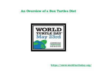 An Overview of a Box Turtles Diet
https://www.worldturtleday.org/
 