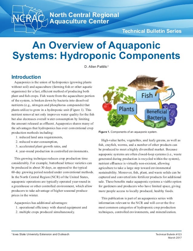 Aquaponic powerpoint 
