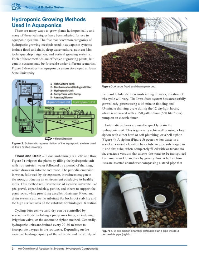 an overview of the hydroponics Hydroponic / greenhouse crops: overview the florida greenhouse vegetable industry in 2004 was comprised of approximately 80 acres of crop production. an overview of the hydroponics Hydroponic / greenhouse crops: overview the florida greenhouse vegetable industry in 2004 was comprised of approximately 80 acres of crop production.