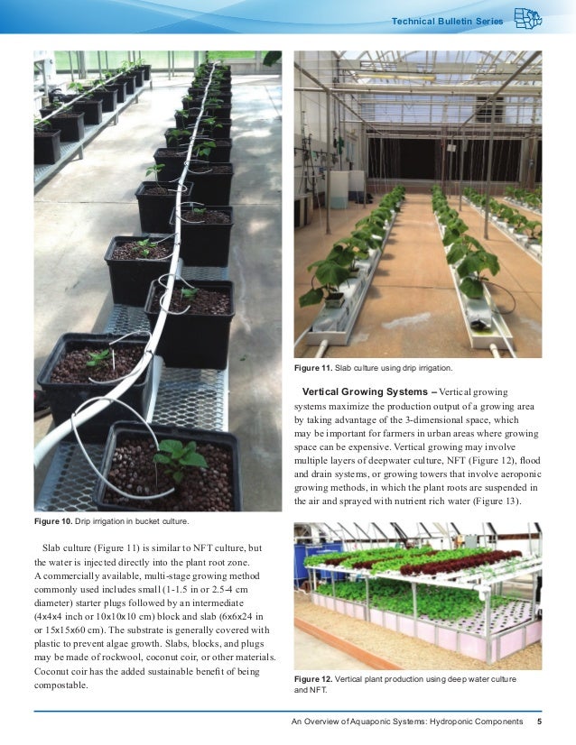 An Overview Of Aquaponic Systems Hydroponic Components