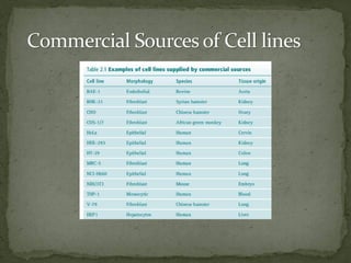 An Overview Of Cell Culture Extended-dikompresi.pdf