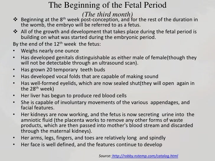 an overview of prenatal period Pregnancy and prenatal development chapter 4 prepared by –critical period –chlorpyrifos and diazinon cause stunting of prenatal growth • hazardous. an overview of prenatal period Pregnancy and prenatal development chapter 4 prepared by –critical period –chlorpyrifos and diazinon cause stunting of prenatal growth • hazardous.