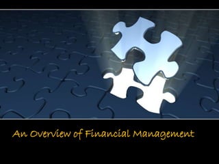 An Overview of Financial Management 