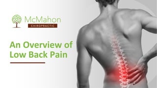 www.mcmahonchiropractic.com | 212-243-6384
An Overview of
Low Back Pain
 