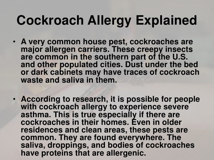 cockroach allergy cockroach allergy