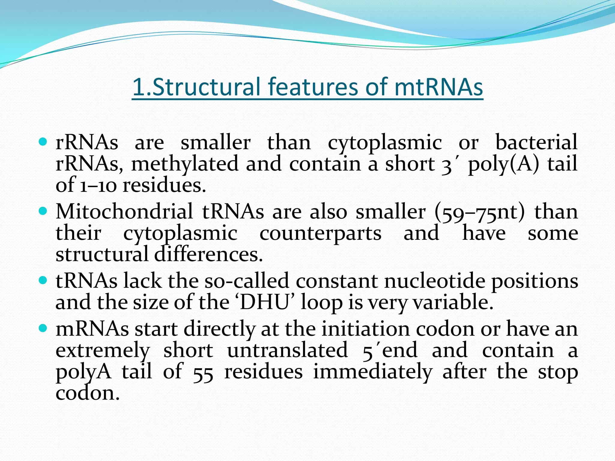 Illustration of Focusing On Mitochondrial Variables