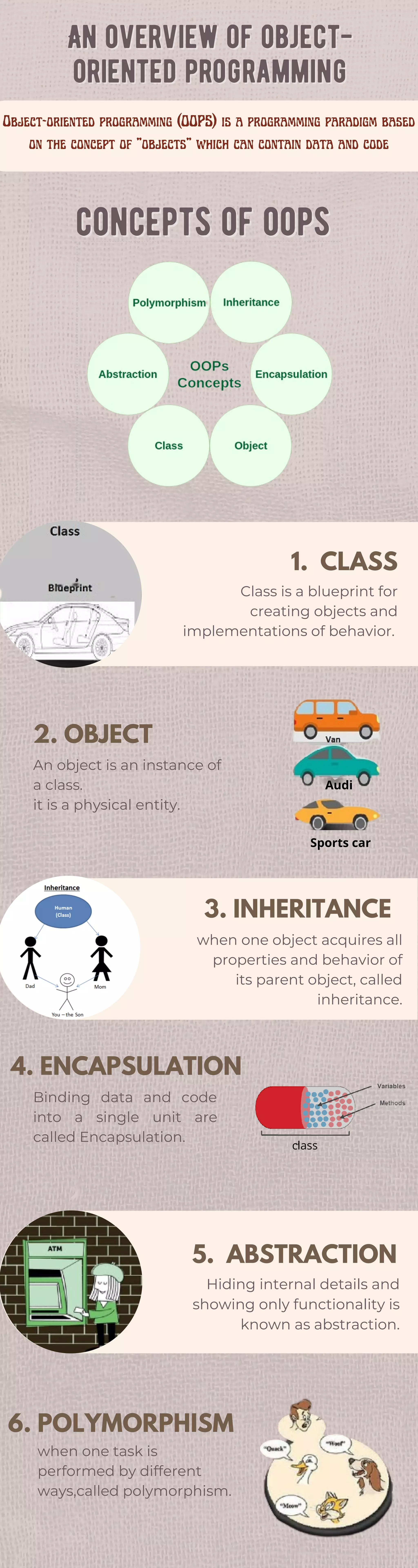 An Overview of Object Oriented Programming.pdf