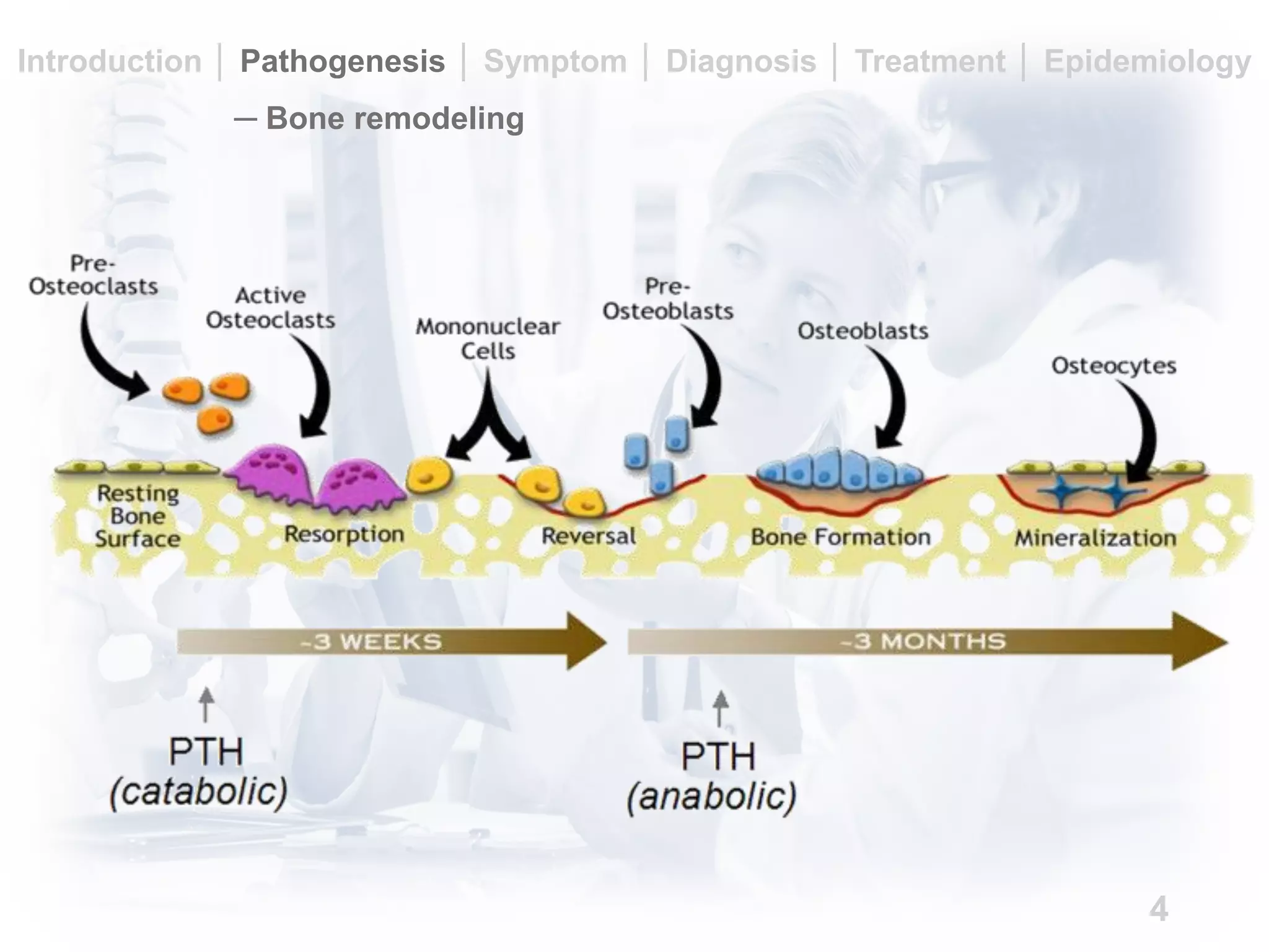 An overview of osteoporosis | PDF