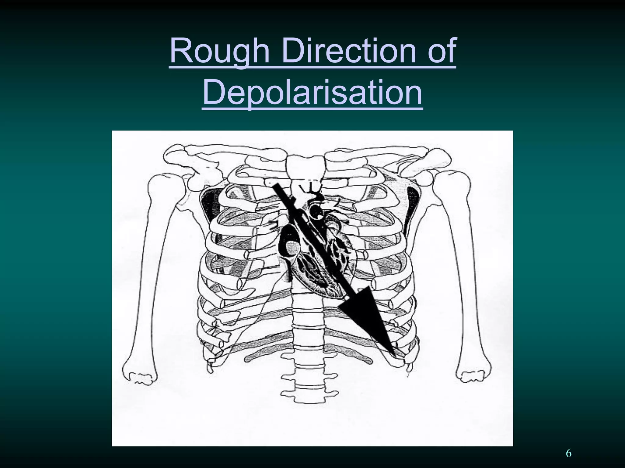 6
Rough Direction of
Depolarisation
 