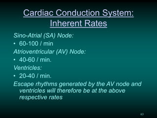 An overview of paediatric ECG | PDF