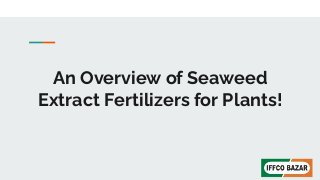 An Overview of Seaweed
Extract Fertilizers for Plants!
 