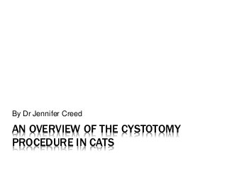 AN OVERVIEW OF THE CYSTOTOMY
PROCEDURE IN CATS
By Dr Jennifer Creed
 