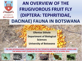 Ofentse Sithole
Department of Biological
Sciences
University of Botswana
AN OVERVIEW OF THE
FRUGIVOROUS FRUIT FLY
(DIPTERA: TEPHRITIDAE,
DACINAE) FAUNA IN BOTSWANA
THE 3RD INTERNATIONAL SYMPOSIUM OF THE TEPHRITID WORKERS OF EUROPE, AFRICA AND
THE MIDDLE EAST (TEAM) IN STELLENBOSCH DURING THE 11-14 APRIL 2016
 
