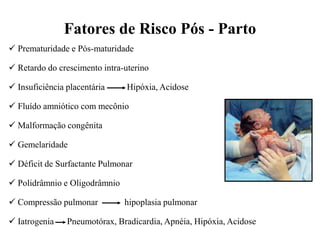  Prematuridade e Pós-maturidade
 Retardo do crescimento intra-uterino
 Insuficiência placentária Hipóxia, Acidose
 Fluído amniótico com mecônio
 Malformação congênita
 Gemelaridade
 Déficit de Surfactante Pulmonar
 Polidrâmnio e Oligodrâmnio
 Compressão pulmonar hipoplasia pulmonar
 Iatrogenia Pneumotórax, Bradicardia, Apnéia, Hipóxia, Acidose
Fatores de Risco Pós - Parto
 