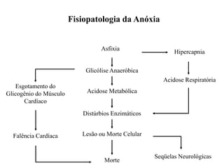 Glicólise Anaeróbica
Esgotamento do
Glicogênio do Músculo
Cardíaco
Acidose Metabólica
Distúrbios Enzimáticos
Lesão ou Morte Celular
Morte
Falência Cardíaca
Seqüelas Neurológicas
Hipercapnia
Acidose Respiratória
Asfixia
Fisiopatologia da Anóxia
 