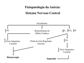 Inicialmente
Fluxo Sanguíneo
Cerebral
O2 CO2 H+
Perda da Auto Regulação
Vascular
Redistribuição do
Débito Cardíaco
Hemorragia
Fluxo Sanguíneo
Cerebral
PA
PA
Isquemia
Fisiopatologia da Anóxia:
Sistema Nervoso Central
 