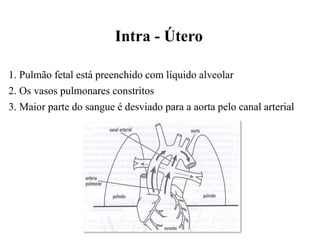 Intra - Útero
1. Pulmão fetal está preenchido com líquido alveolar
2. Os vasos pulmonares constritos
3. Maior parte do sangue é desviado para a aorta pelo canal arterial
 