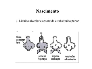 Nascimento
1. Líquido alveolar é absorvido e substituído por ar
 