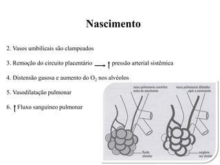 2. Vasos umbilicais são clampeados
3. Remoção do circuito placentário pressão arterial sistêmica
4. Distensão gasosa e aumento do O2 nos alvéolos
5. Vasodilatação pulmonar
6. Fluxo sanguíneo pulmonar
Nascimento
 