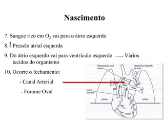 7. Sangue rico em O2 vai para o átrio esquerdo
8. Pressão atrial esquerda
9. Do átrio esquerdo vai para ventrículo esquerdo Vários
tecidos do organismo
10. Ocorre o fechamento:
- Canal Arterial
- Forame Oval
Nascimento
 