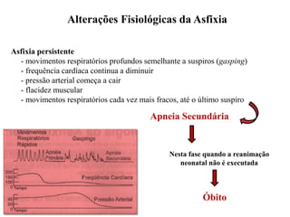 Alterações Fisiológicas da Asfixia
Asfixia persistente
- movimentos respiratórios profundos semelhante a suspiros (gasping)
- frequência cardíaca continua a diminuir
- pressão arterial começa a cair
- flacidez muscular
- movimentos respiratórios cada vez mais fracos, até o último suspiro
Apneia Secundária
Óbito
Nesta fase quando a reanimação
neonatal não é executada
 
