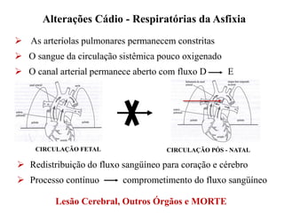  As arteríolas pulmonares permanecem constritas
 O sangue da circulação sistêmica pouco oxigenado
 O canal arterial permanece aberto com fluxo D E
CIRCULAÇÃO PÓS - NATAL
CIRCULAÇÃO FETAL
 Redistribuição do fluxo sangüíneo para coração e cérebro
 Processo contínuo comprometimento do fluxo sangüíneo
Lesão Cerebral, Outros Órgãos e MORTE
Alterações Cádio - Respiratórias da Asfixia
 