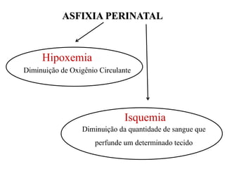 Hipoxemia
Diminuição de Oxigênio Circulante
Isquemia
Diminuição da quantidade de sangue que
perfunde um determinado tecido
ASFIXIA PERINATAL
 