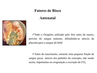 Todo o Oxigênio utilizado pelo feto antes de nascer,
provém do sangue materno, difundindo-se através da
placenta para o sangue do bebê
Antes do nascimento, somente uma pequena fração de
sangue passa através dos pulmões do concepto, não sendo
assim, importantes na oxigenação e excreção do CO2
Antenatal
Fatores de Risco
 