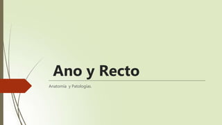 Ano y Recto
Anatomía y Patologías.
 
