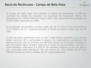 Bacia do Recôncavo - Campo de Bela Vista
O Campo de Bela Vista está situado na Bacia do Recôncavo, a 190 km
nordeste da cidade de Salvador, no município de Esplanada, Bahia. Foi
descoberto em 24/06/1984 pelo poço 1-BLV-1-BA, colocado em produção em
31/07/1984 e fechado em 1996.
As produções acumuladas de óleo e gás são de 27 mil m³ (170 mil barris) e
2,37 milhões de m³, respectivamente. O fluido principal é óleo leve de 34
°API.
A área do bloco devolvido é de 2,1 km², onde foram realizados 14,1 km de
linhas sísmicas 2D e perfurados 6 poços. Os reservatórios portadores de
hidrocarboneto são os arenitos do Membro Gomo da Formação Candeias e
das formações Água Grande, Itaparica e Sergi. As acumulações ocorrem a
profundidades superiores a 1.250 m. Os volumes originais in situ de óleo e
gás, estimados pela Petrobras, são da ordem de 1,54 milhão de m³ (9,7
milhões de barris) e 63,4 milhões de m³, respectivamente.
 