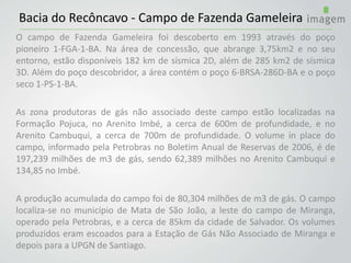 Bacia do Recôncavo - Campo de Fazenda Gameleira
O campo de Fazenda Gameleira foi descoberto em 1993 através do poço
pioneiro 1-FGA-1-BA. Na área de concessão, que abrange 3,75km2 e no seu
entorno, estão disponíveis 182 km de sísmica 2D, além de 285 km2 de sísmica
3D. Além do poço descobridor, a área contém o poço 6-BRSA-286D-BA e o poço
seco 1-PS-1-BA.
As zona produtoras de gás não associado deste campo estão localizadas na
Formação Pojuca, no Arenito Imbé, a cerca de 600m de profundidade, e no
Arenito Cambuqui, a cerca de 700m de profundidade. O volume in place do
campo, informado pela Petrobras no Boletim Anual de Reservas de 2006, é de
197,239 milhões de m3 de gás, sendo 62,389 milhões no Arenito Cambuqui e
134,85 no Imbé.
A produção acumulada do campo foi de 80,304 milhões de m3 de gás. O campo
localiza-se no município de Mata de São João, a leste do campo de Miranga,
operado pela Petrobras, e a cerca de 85km da cidade de Salvador. Os volumes
produzidos eram escoados para a Estação de Gás Não Associado de Miranga e
depois para a UPGN de Santiago.
 