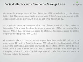 O campo de Miranga Leste foi descoberto em 1970 através do poço pioneiro 4-
MGL-1-BA. Na área de concessão, que abrange 0,9km2 e no seu entorno, estão
disponíveis 91km de sísmica 2D, além de 286 km2 de sísmica 3D.
As principais zonas de interesse têm como fluido principal o óleo, todas na
Formação Pojuca, nos Arenitos Azevedo, a cerca de 1340m de profundidade
(poço 4-MGL-1-BA), Cambuqui, a cerca de 1490m, e Santiago, a cerca de 1750m
de profundidade (poço 3-MGL-2-BA).
O volume in place do campo, estimado pela Petrobras, é de 478 mil barris de
óleo, sendo 201 mil no Arenito Azevedo, 208 mil no Arenito Cambuqui e 69 mil
no Arenito Santiago. A produção acumulada da área foi de 50 mil barris de óleo,
entre 1979 e 1985 e entre 1988 e 1996. O campo localiza-se no município de
Itanagara, a leste do campo de Miranga, operado pela Petrobras, e a cerca de
90km da cidade de Salvador.
Bacia do Recôncavo - Campo de Miranga Leste
 