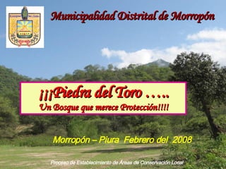 Proceso de Establecimiento de Áreas de Conservación Local ¡¡¡Piedra del Toro ….. Un Bosque que merece Protección!!!! Municipalidad Distrital de Morropón Morropón – Piura  Febrero del  2008 