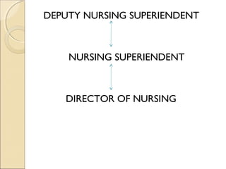 DEPUTY NURSING SUPERIENDENT



    NURSING SUPERIENDENT



   DIRECTOR OF NURSING
 
