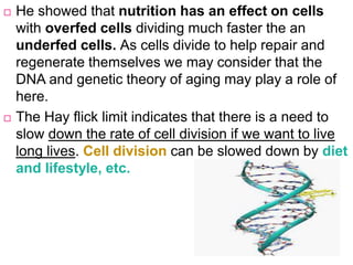  He showed that nutrition has an effect on cells
with overfed cells dividing much faster the an
underfed cells. As cells divide to help repair and
regenerate themselves we may consider that the
DNA and genetic theory of aging may play a role of
here.
 The Hay flick limit indicates that there is a need to
slow down the rate of cell division if we want to live
long lives. Cell division can be slowed down by diet
and lifestyle, etc.
 
