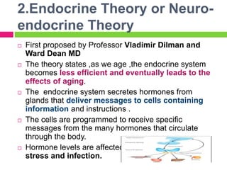 2.Endocrine Theory or Neuro-
endocrine Theory
 First proposed by Professor Vladimir Dilman and
Ward Dean MD
 The theory states ,as we age ,the endocrine system
becomes less efficient and eventually leads to the
effects of aging.
 The endocrine system secretes hormones from
glands that deliver messages to cells containing
information and instructions .
 The cells are programmed to receive specific
messages from the many hormones that circulate
through the body.
 Hormone levels are affected by factors such as
stress and infection.
 
