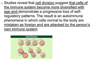  Studies reveal that cell division suggest that cells of
the immune system become more diversified with
age and demonstrate a progressive loss of self-
regulatory patterns. The result is an autoimmune
phenomena in which cells normal to the body are
mistaken as foreign and are attacked by the person’s
own immune system
 