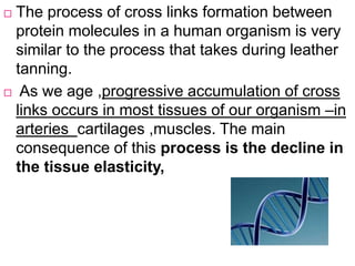  The process of cross links formation between
protein molecules in a human organism is very
similar to the process that takes during leather
tanning.
 As we age ,progressive accumulation of cross
links occurs in most tissues of our organism –in
arteries cartilages ,muscles. The main
consequence of this process is the decline in
the tissue elasticity,
 