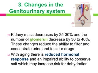 3. Changes in the
Genitourinary system
 Kidney mass decreases by 25-30% and the
number of glomeruli decrease by 30 to 40%.
These changes reduce the ability to filter and
concentrate urine and to clear drugs
 With aging there is reduced hormonal
response and an impaired ability to conserve
salt which may increase risk for dehydration
 