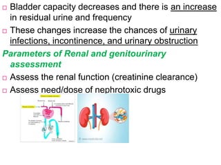  Bladder capacity decreases and there is an increase
in residual urine and frequency
 These changes increase the chances of urinary
infections, incontinence, and urinary obstruction
Parameters of Renal and genitourinary
assessment
 Assess the renal function (creatinine clearance)
 Assess need/dose of nephrotoxic drugs
 