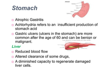 Stomach
 Atrophic Gastritis
 Achlorhydria refers to an insufficient production of
stomach acid
 Gastric ulcers (ulcers in the stomach) are more
common after the age of 60 and can be benign or
malignant.
Liver
 Reduced blood flow
 Altered clearance of some drugs,
 A diminished capacity to regenerate damaged
liver cells.
 