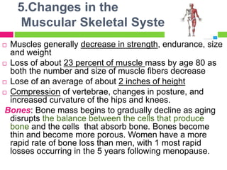 5.Changes in the
Muscular Skeletal System
 Muscles generally decrease in strength, endurance, size
and weight
 Loss of about 23 percent of muscle mass by age 80 as
both the number and size of muscle fibers decrease
 Lose of an average of about 2 inches of height
 Compression of vertebrae, changes in posture, and
increased curvature of the hips and knees.
Bones: Bone mass begins to gradually decline as aging
disrupts the balance between the cells that produce
bone and the cells that absorb bone. Bones become
thin and become more porous. Women have a more
rapid rate of bone loss than men, with 1 most rapid
losses occurring in the 5 years following menopause.
 