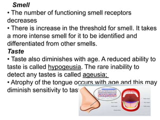 Smell
• The number of functioning smell receptors
decreases
• There is increase in the threshold for smell. It takes
a more intense smell for it to be identified and
differentiated from other smells.
Taste
• Taste also diminishes with age. A reduced ability to
taste is called hypogeusia. The rare inability to
detect any tastes is called ageusia;
• Atrophy of the tongue occurs with age and this may
diminish sensitivity to taste.
 