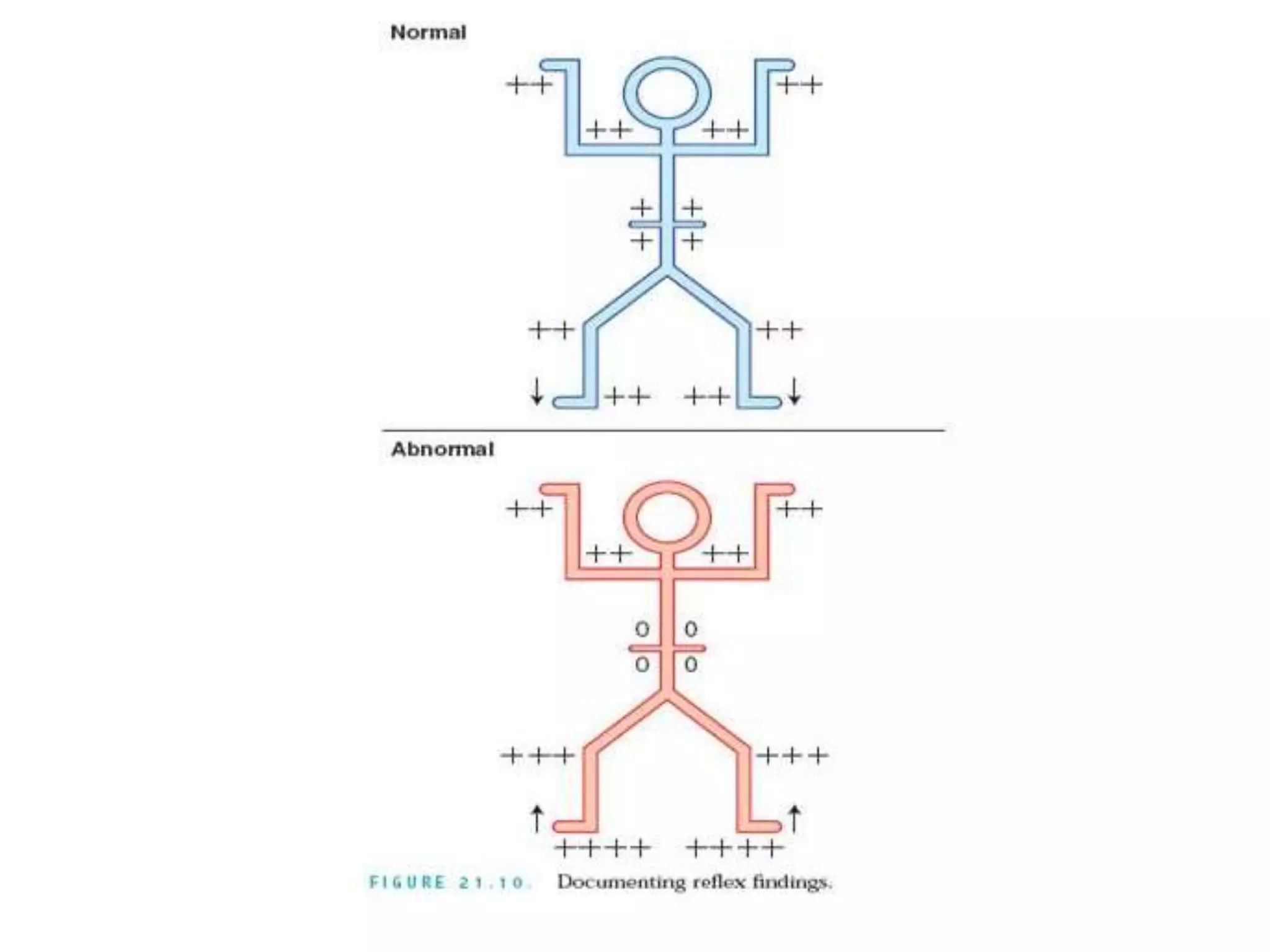 Delikan Test Nursing Assessment-History and Physical assessment - Musculoskelatal ...