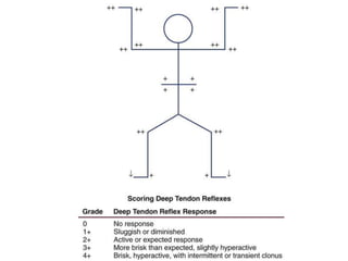 Delikan Test Nursing Assessment-History and Physical assessment - Musculoskelatal ...