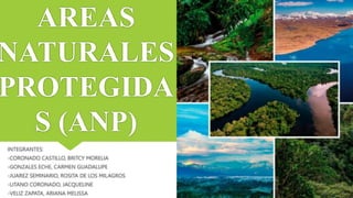 AREAS
NATURALES
PROTEGIDA
S (ANP)
INTEGRANTES:
-CORONADO CASTILLO, BRITCY MORELIA
-GONZALES ECHE, CARMEN GUADALUPE
-JUAREZ SEMINARIO, ROSITA DE LOS MILAGROS
-LITANO CORONADO, JACQUELINE
-VELIZ ZAPATA, ARIANA MELISSA
 