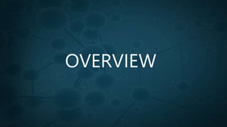 OVERVIEW
 