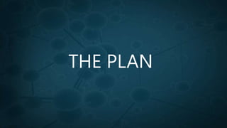 THE PLAN
 